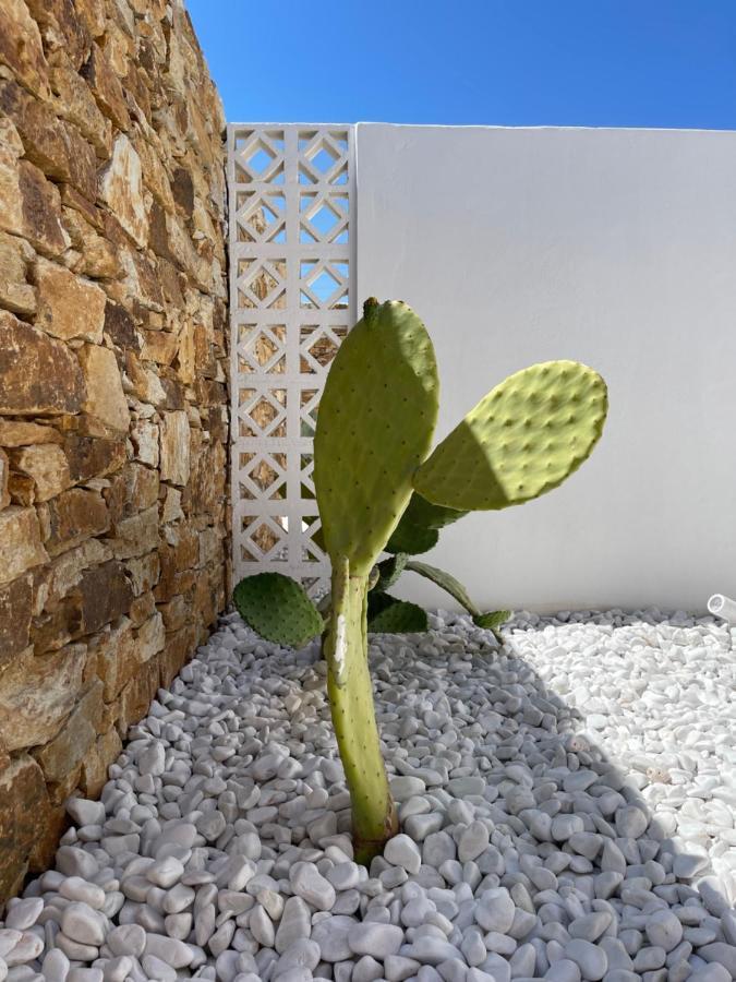 Aparthotel Kastro Antiparos Town Exteriér fotografie